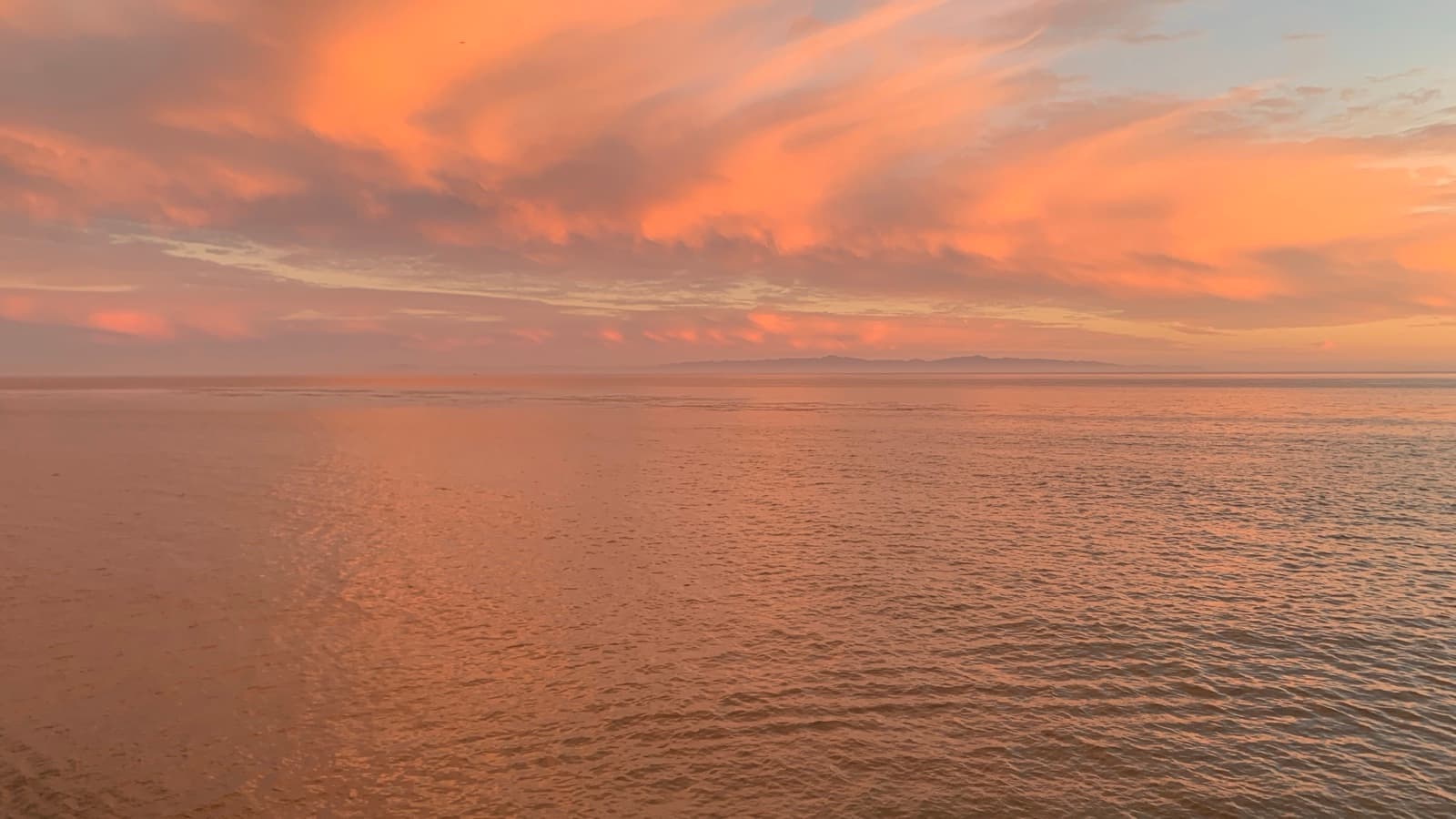 The Pacific Coast from Isla Vista, during a solo roadtrip down the California coast. Oct’23.
