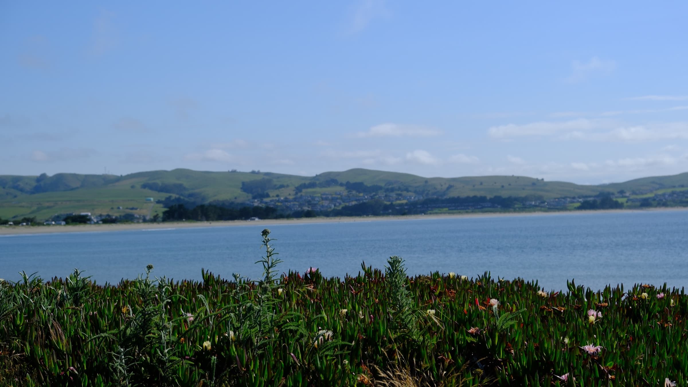 Sonoma Coast State Park, CA