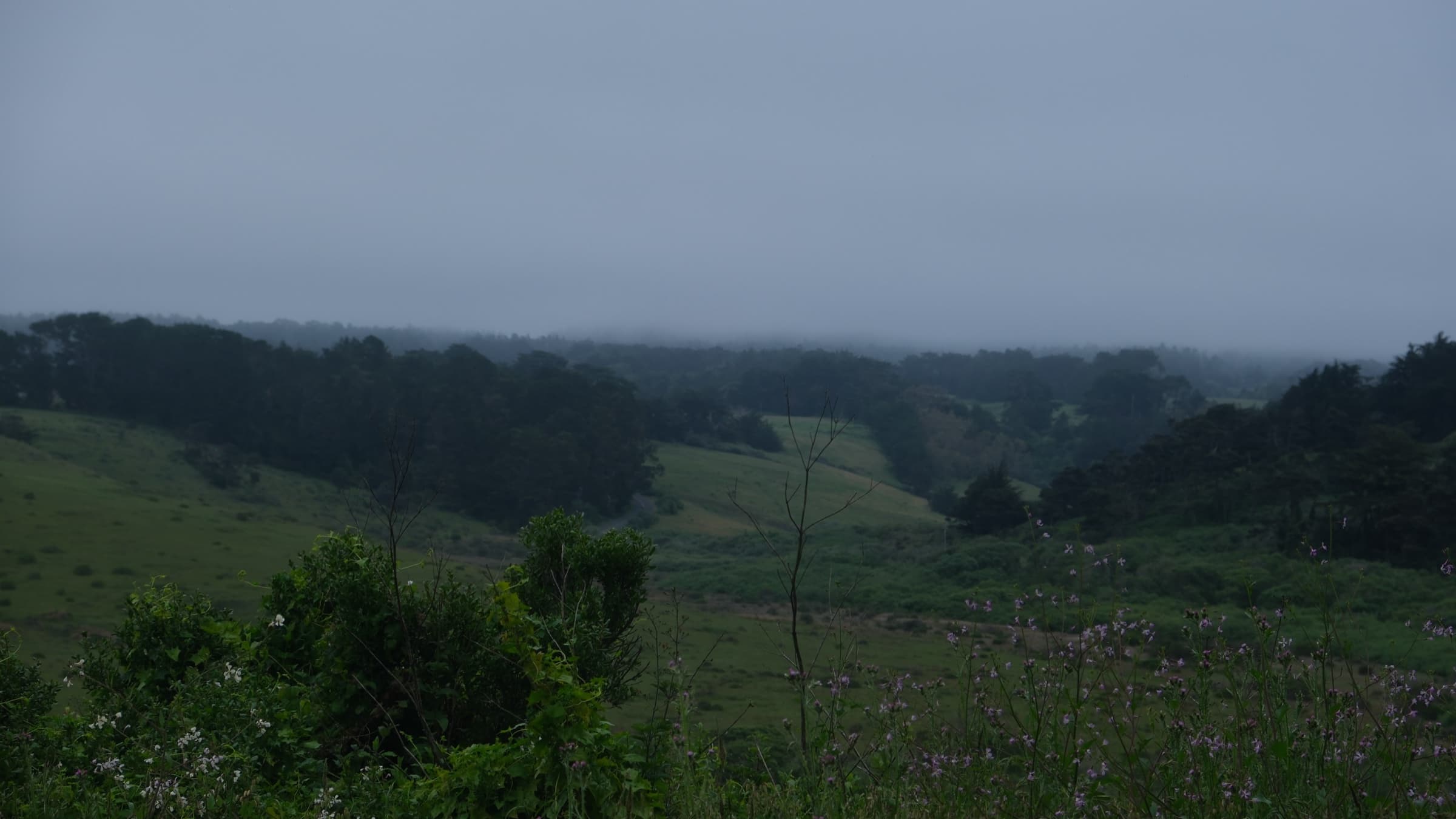 Mendocino, CA