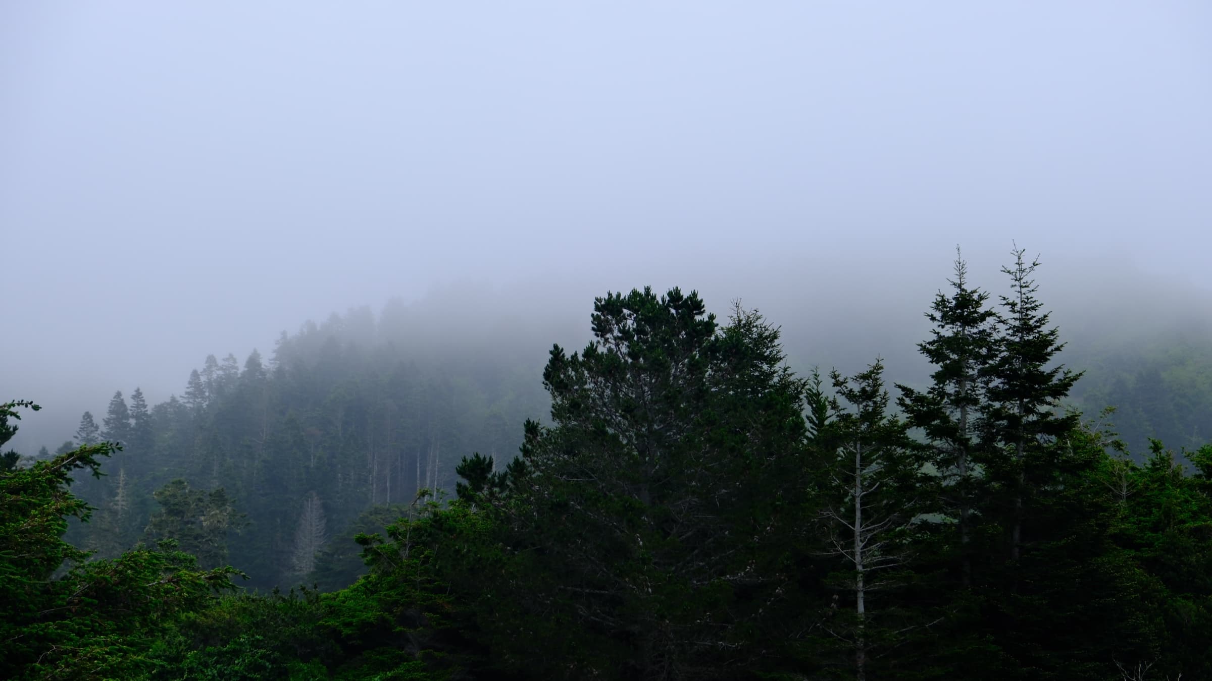 Mendocino, CA