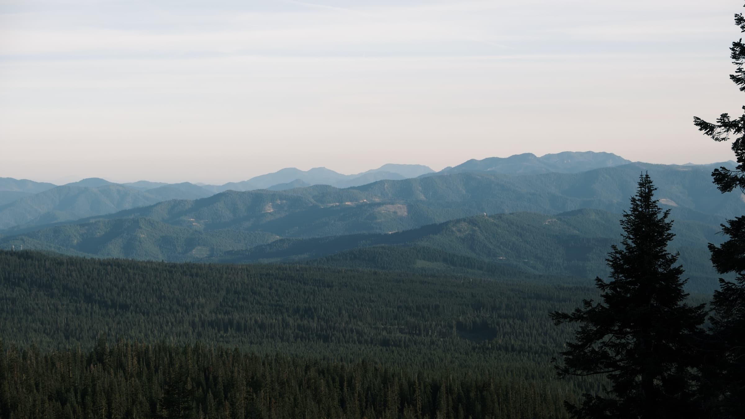 Mount Shasta, CA