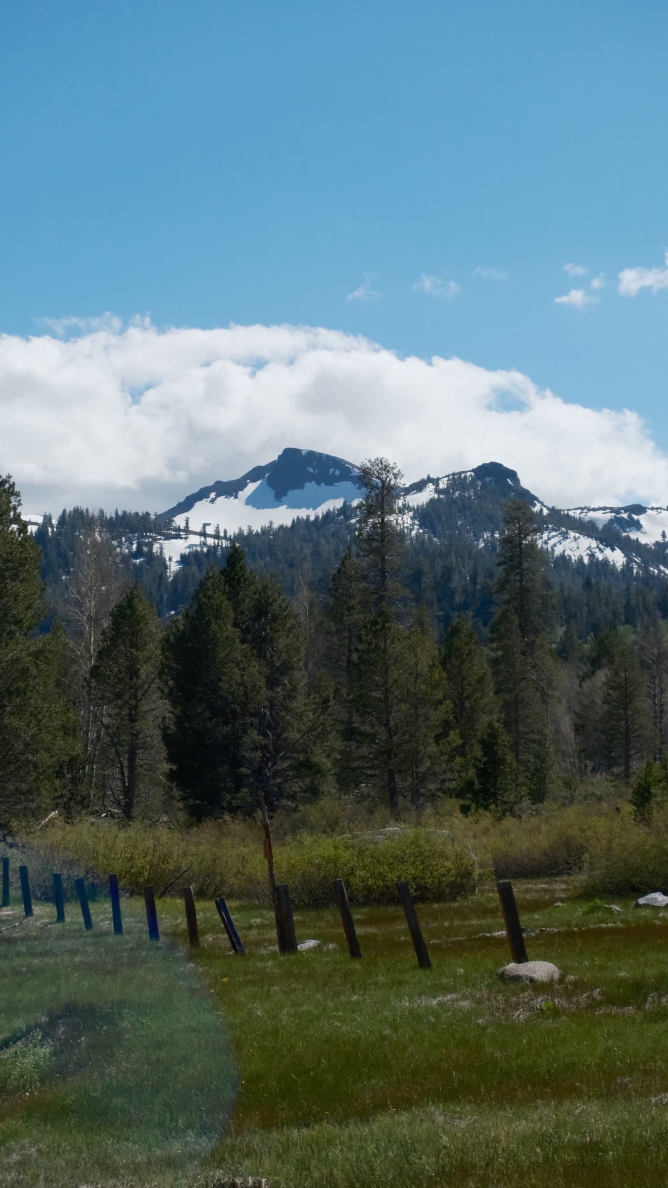 Highway 88, CA