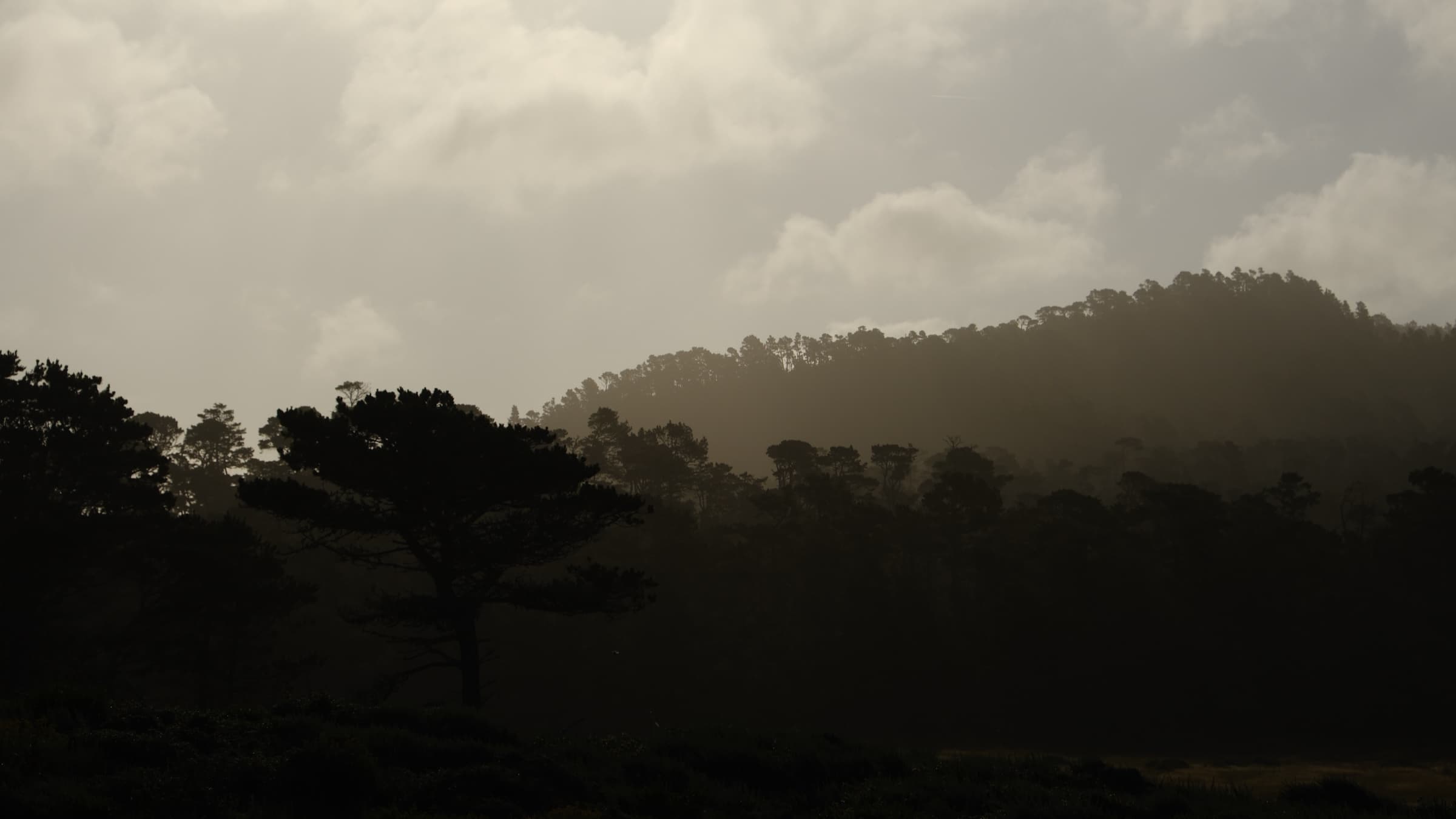 Point Lobos, CA